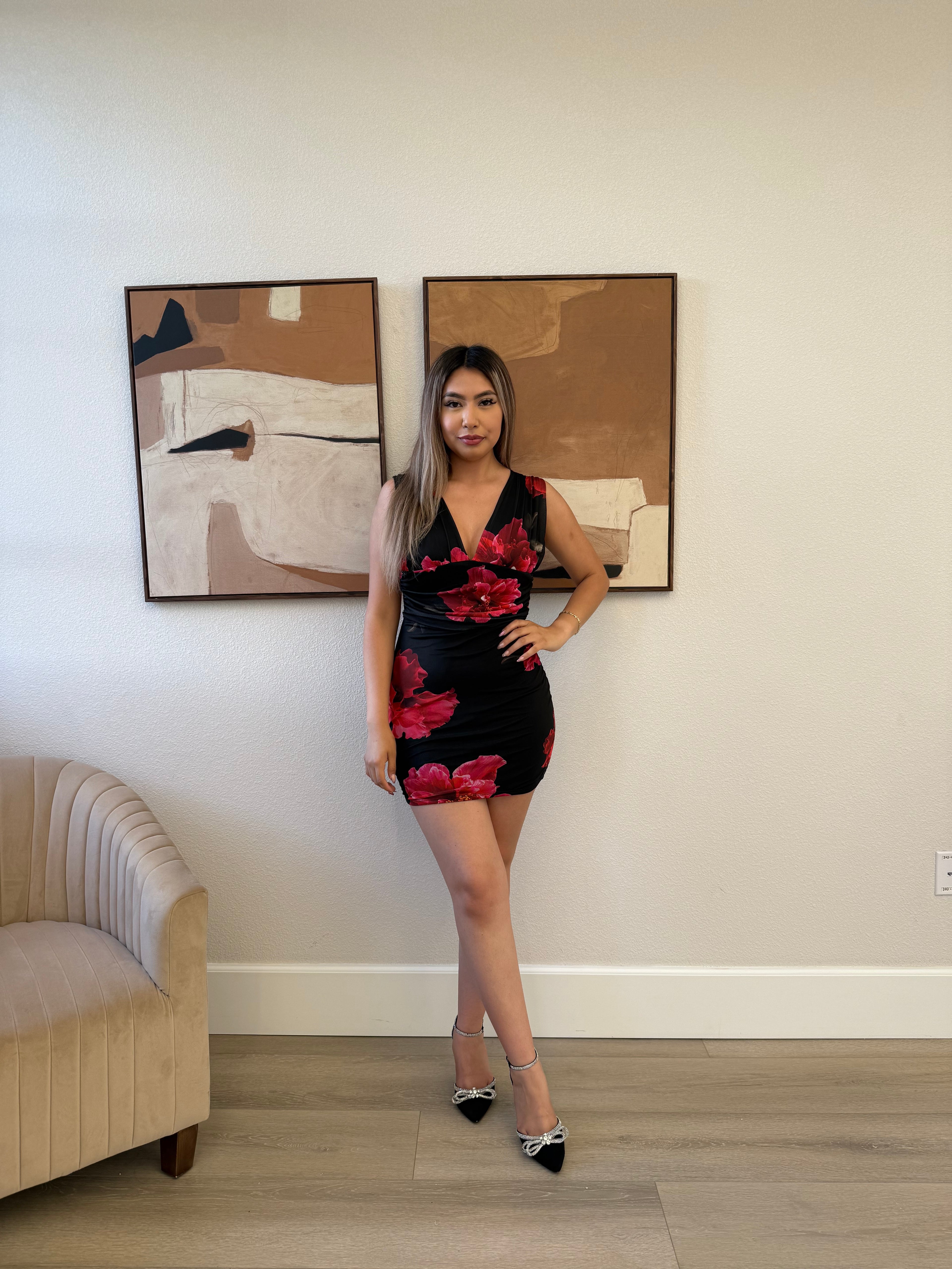 Mary Dress